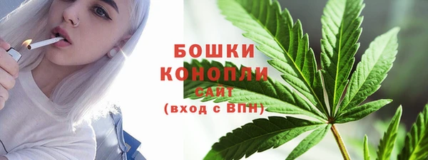 дживик Аркадак