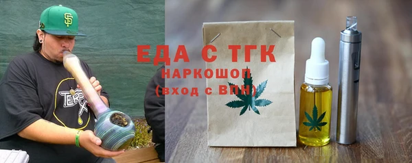 хмурый Арсеньев