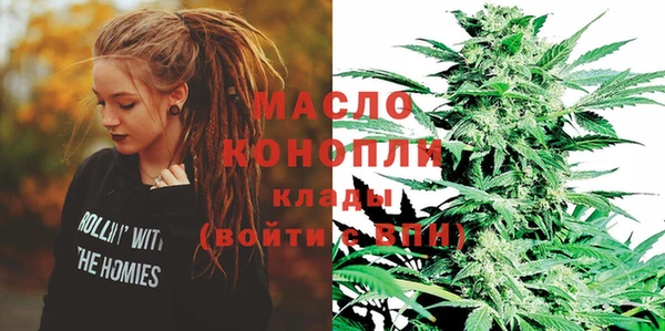хмурый Арсеньев