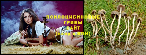 мдпв Армянск